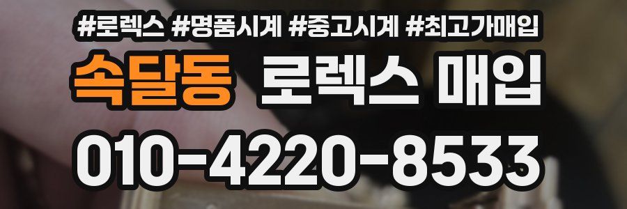 속달동 로렉스 매입