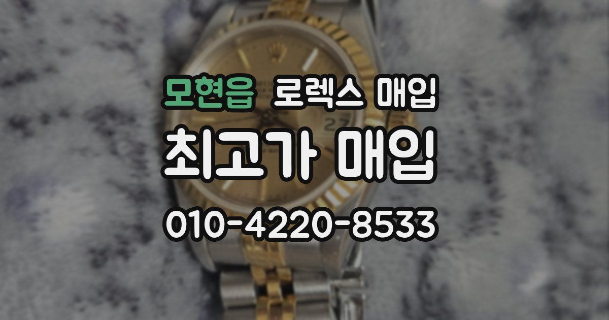 모현읍 로렉스 매입