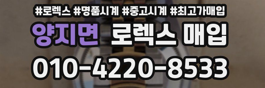 양지면 로렉스 매입