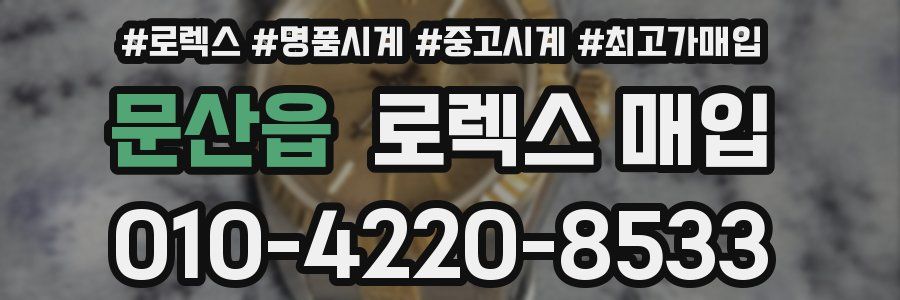 문산읍 로렉스 매입