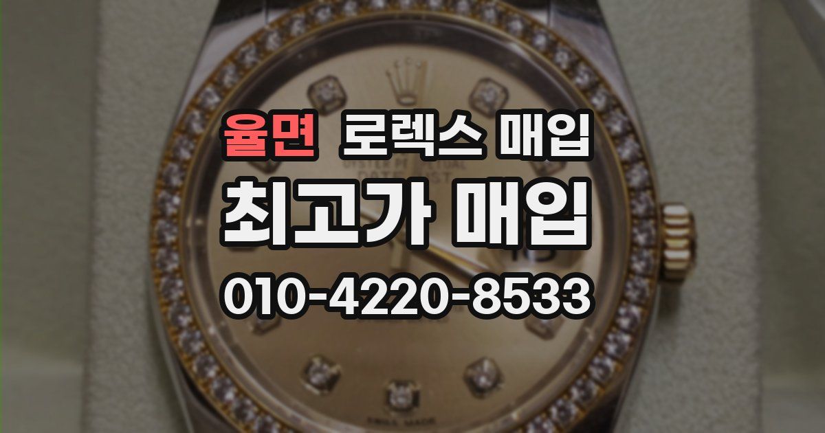 율면 로렉스 매입