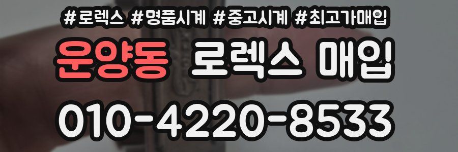 운양동 로렉스 매입