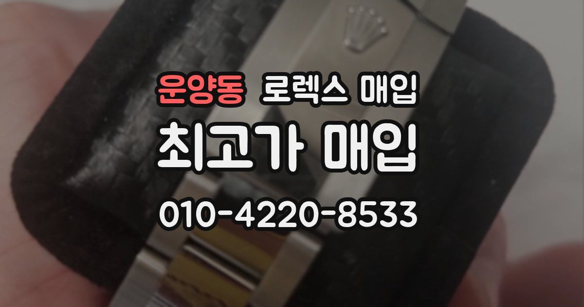 운양동 로렉스 매입