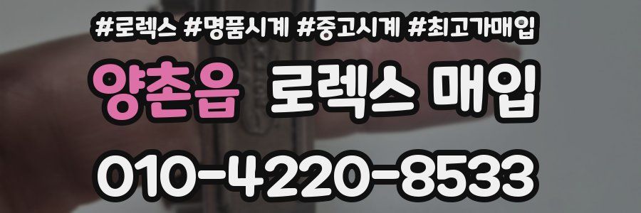 양촌읍 로렉스 매입