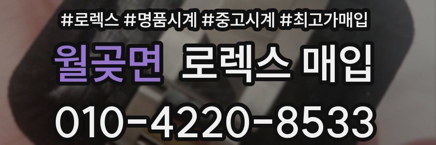 월곶면 로렉스 매입
