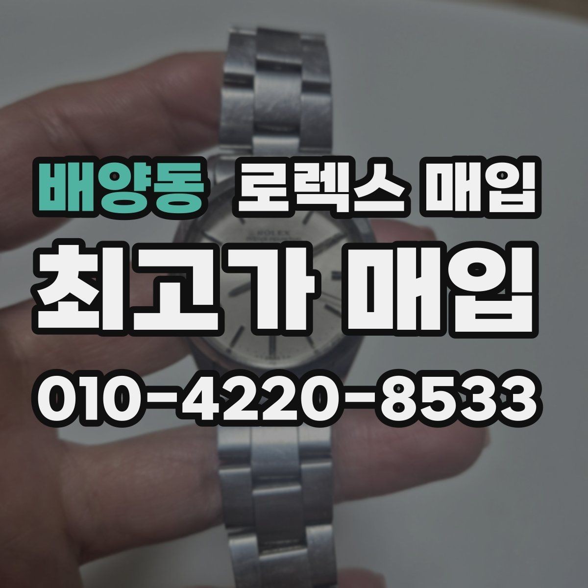 배양동 로렉스 매입 스틸 모델 시세가 탄탄한 이유