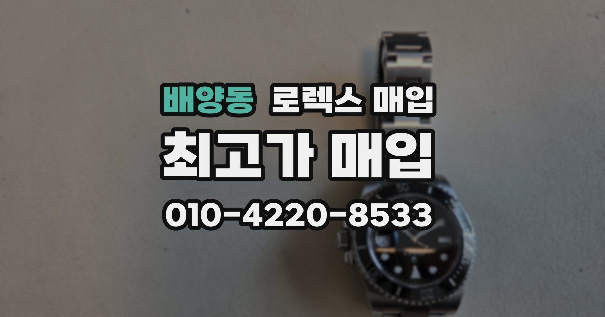 배양동 로렉스 매입