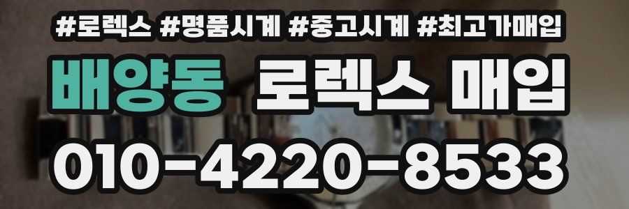 배양동 로렉스 매입