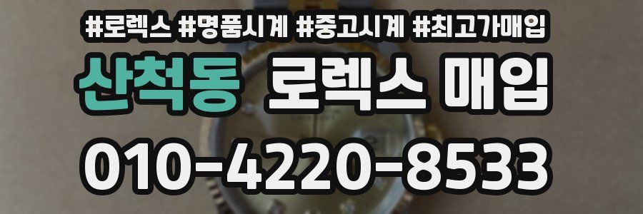 산척동 로렉스 매입
