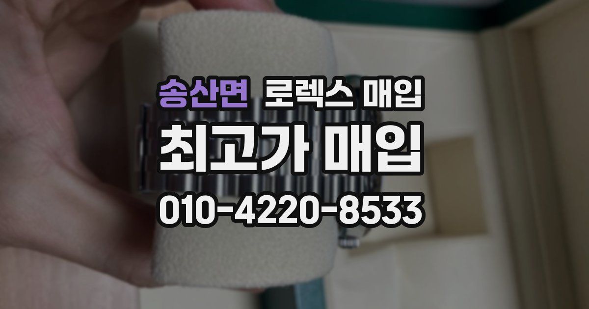 송산면 로렉스 매입