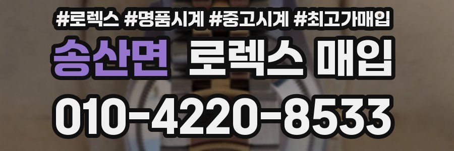 송산면 로렉스 매입