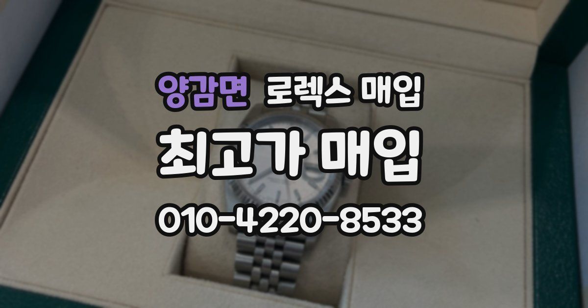 양감면 로렉스 매입