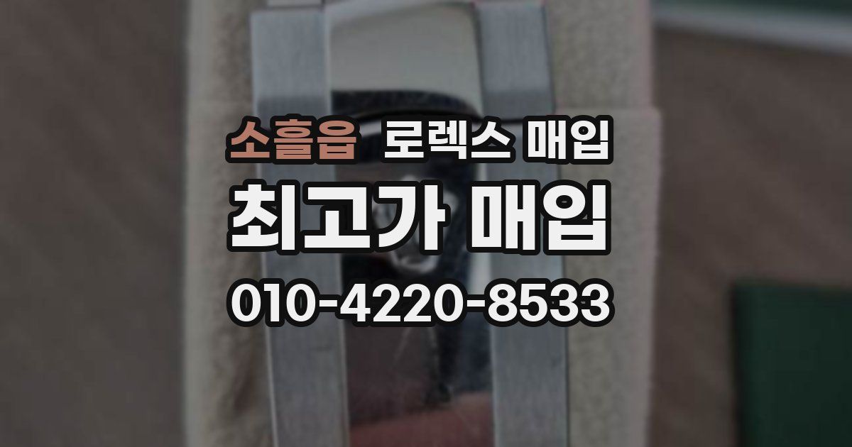 소흘읍 로렉스 매입