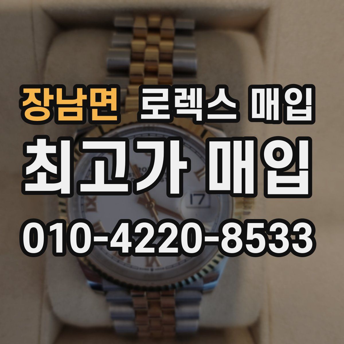 장남면 로렉스 매입