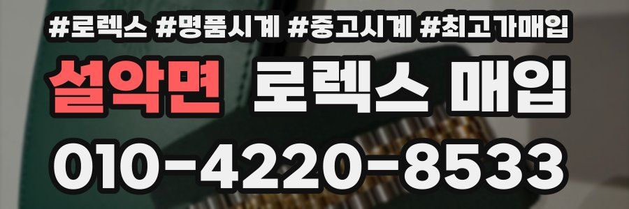 설악면 로렉스 매입