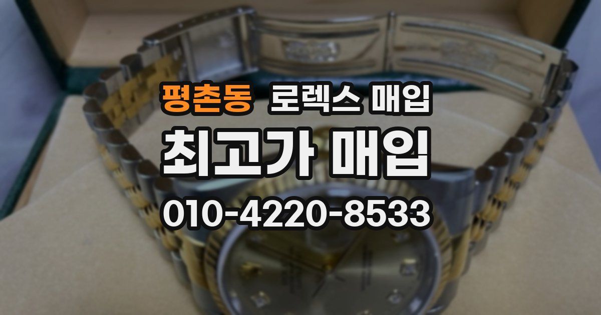 평촌동 로렉스 매입