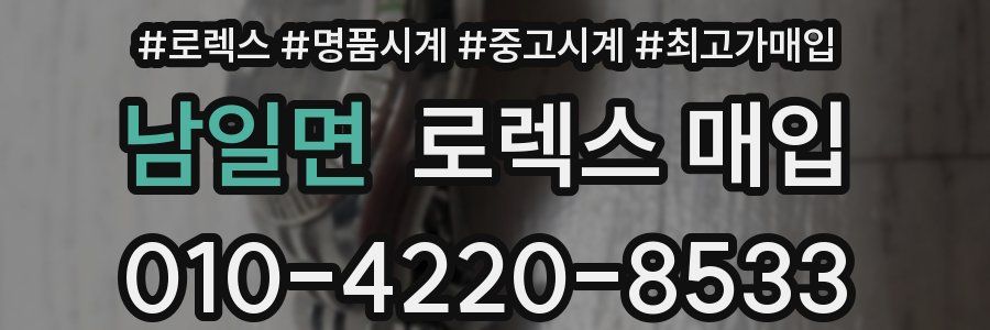 남일면 로렉스 매입