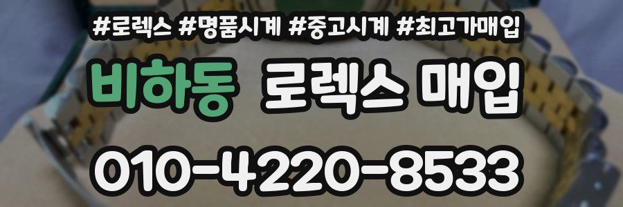 비하동 로렉스 매입