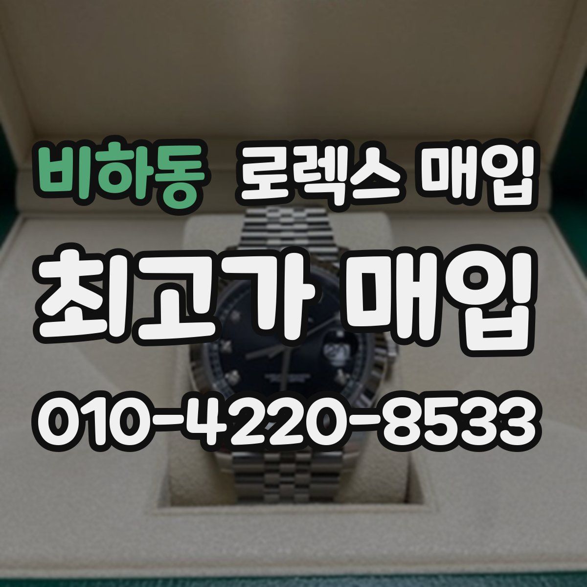 비하동 로렉스 매입