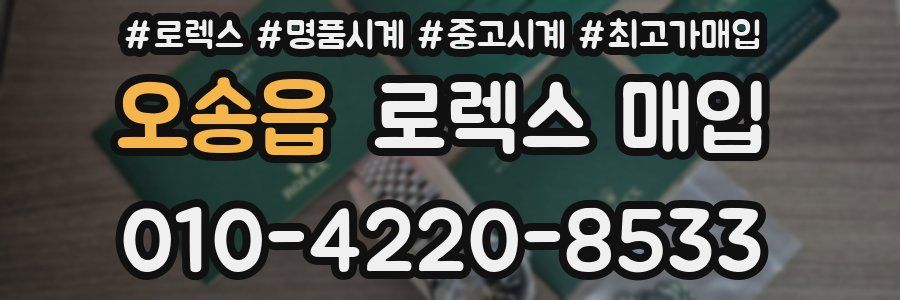 오송읍 로렉스 매입