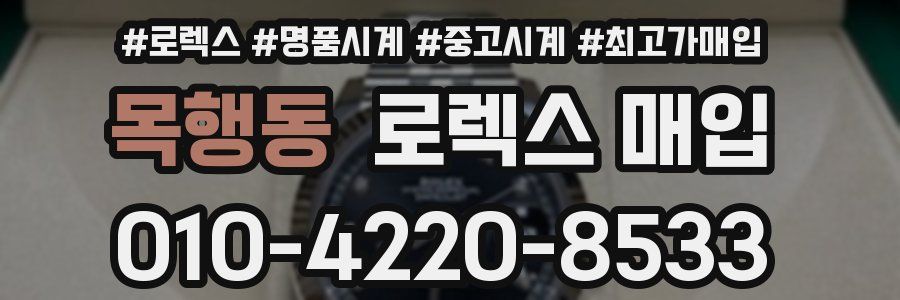 목행동 로렉스 매입