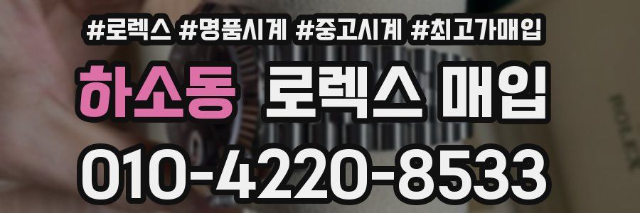 하소동 로렉스 매입
