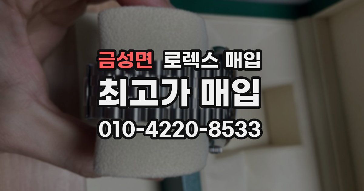 금성면 로렉스 매입