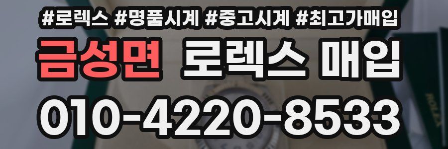 금성면 로렉스 매입