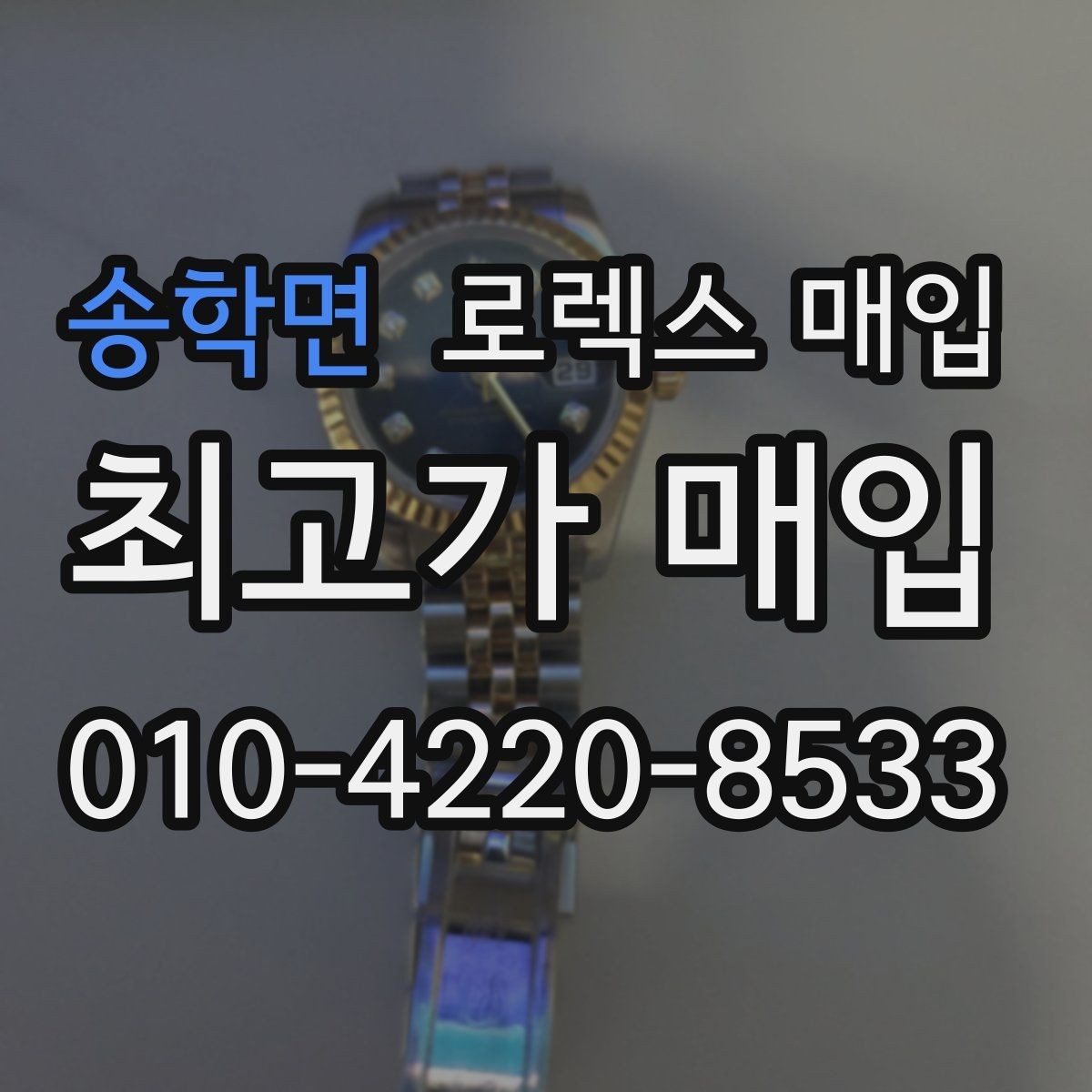 송학면 로렉스 매입 데이데이 모델 감정 시 핵심 포인트