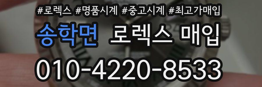 송학면 로렉스 매입