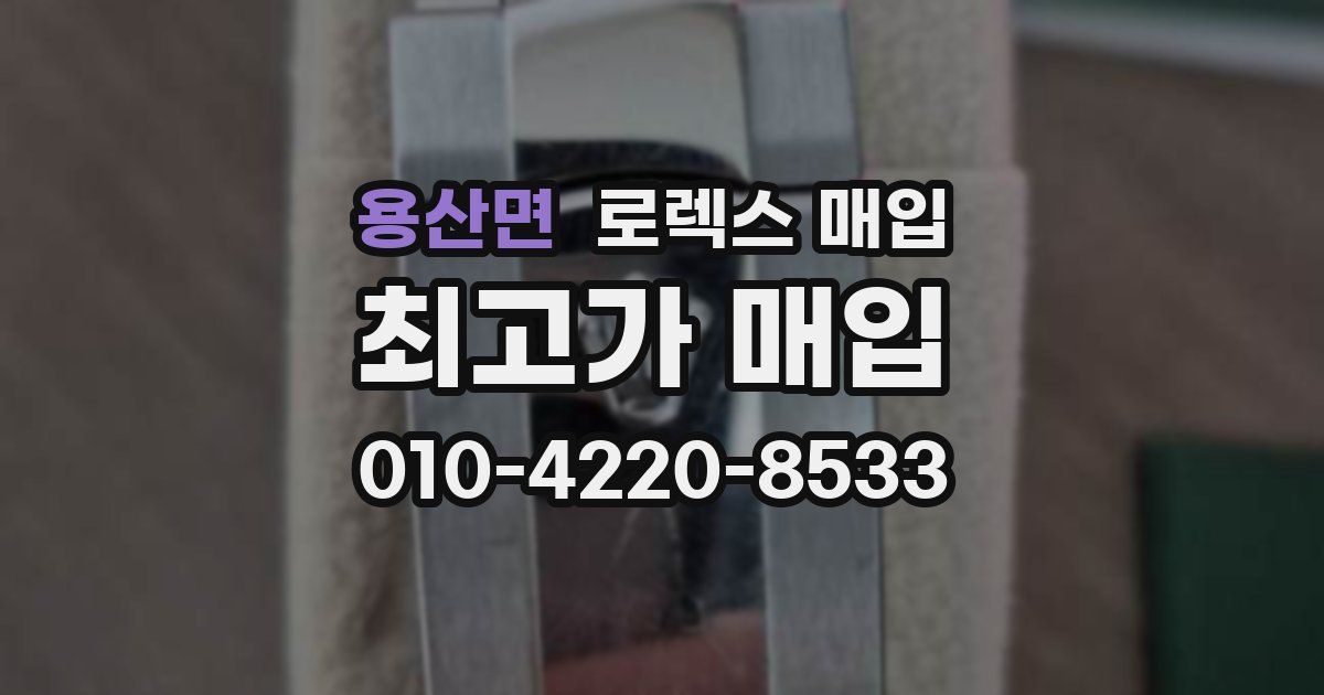 용산면 로렉스 매입