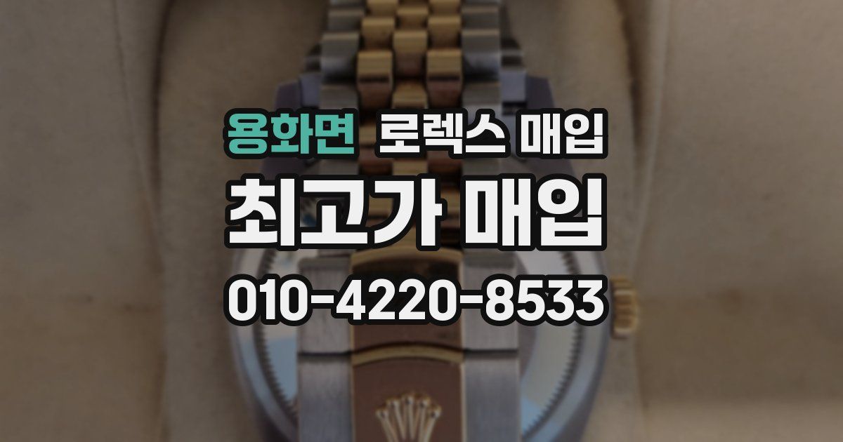 용화면 로렉스 매입