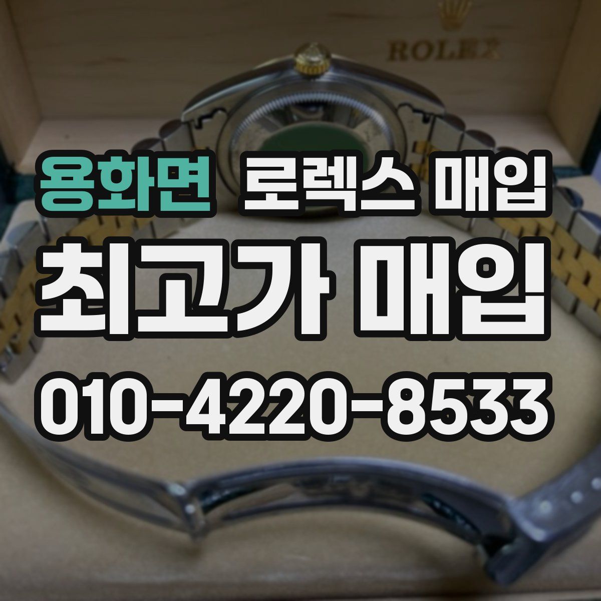 용화면 로렉스 매입