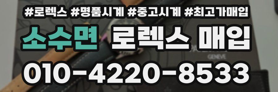 소수면 로렉스 매입