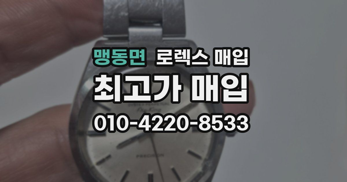 맹동면 로렉스 매입