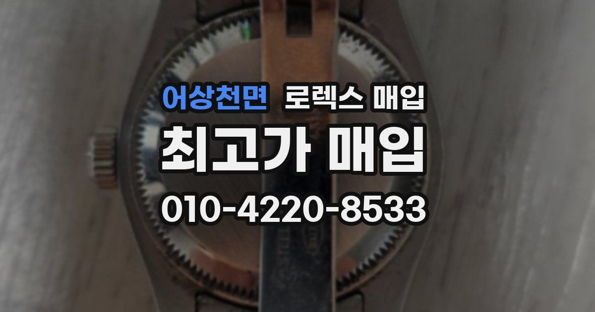 어상천면 로렉스 매입