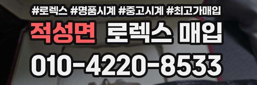 적성면 로렉스 매입