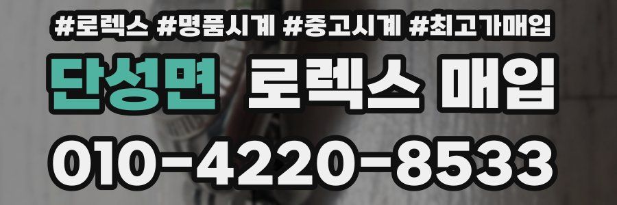 단성면 로렉스 매입