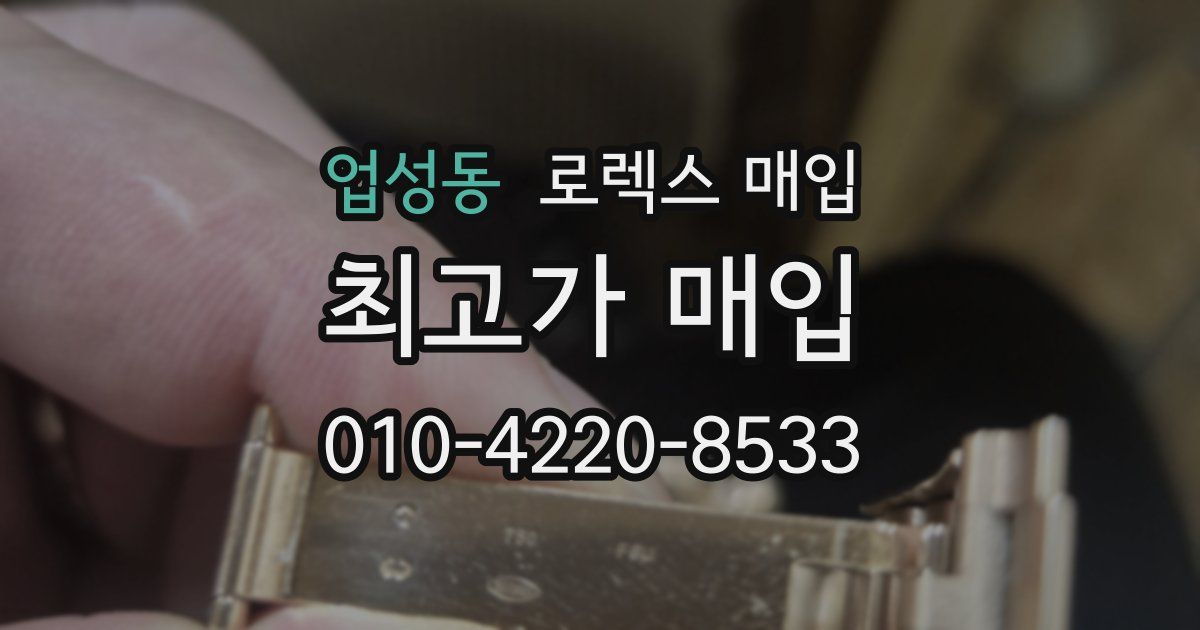 업성동 로렉스 매입