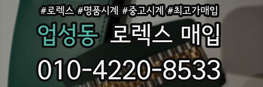 업성동 로렉스 매입