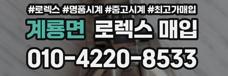 계룡면 로렉스 매입