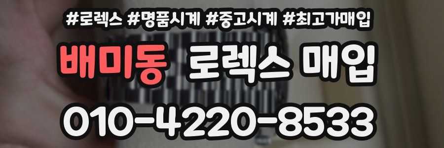 배미동 로렉스 매입