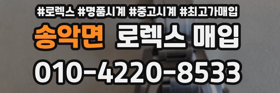 송악면 로렉스 매입