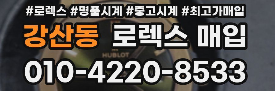 강산동 로렉스 매입