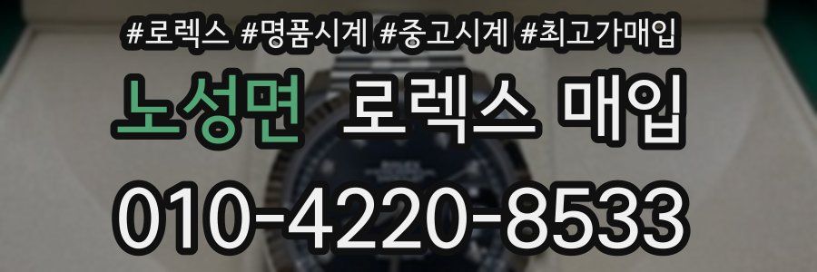 노성면 로렉스 매입