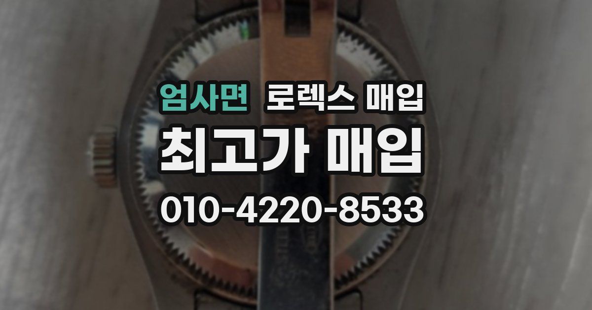엄사면 로렉스 매입