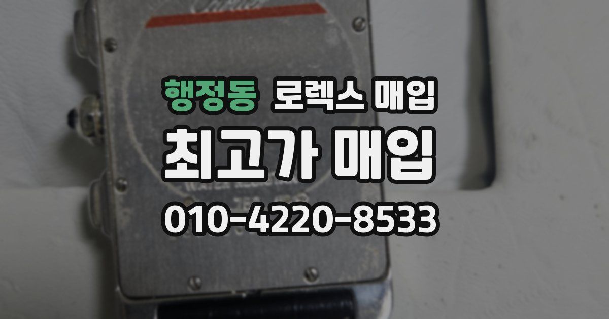 행정동 로렉스 매입