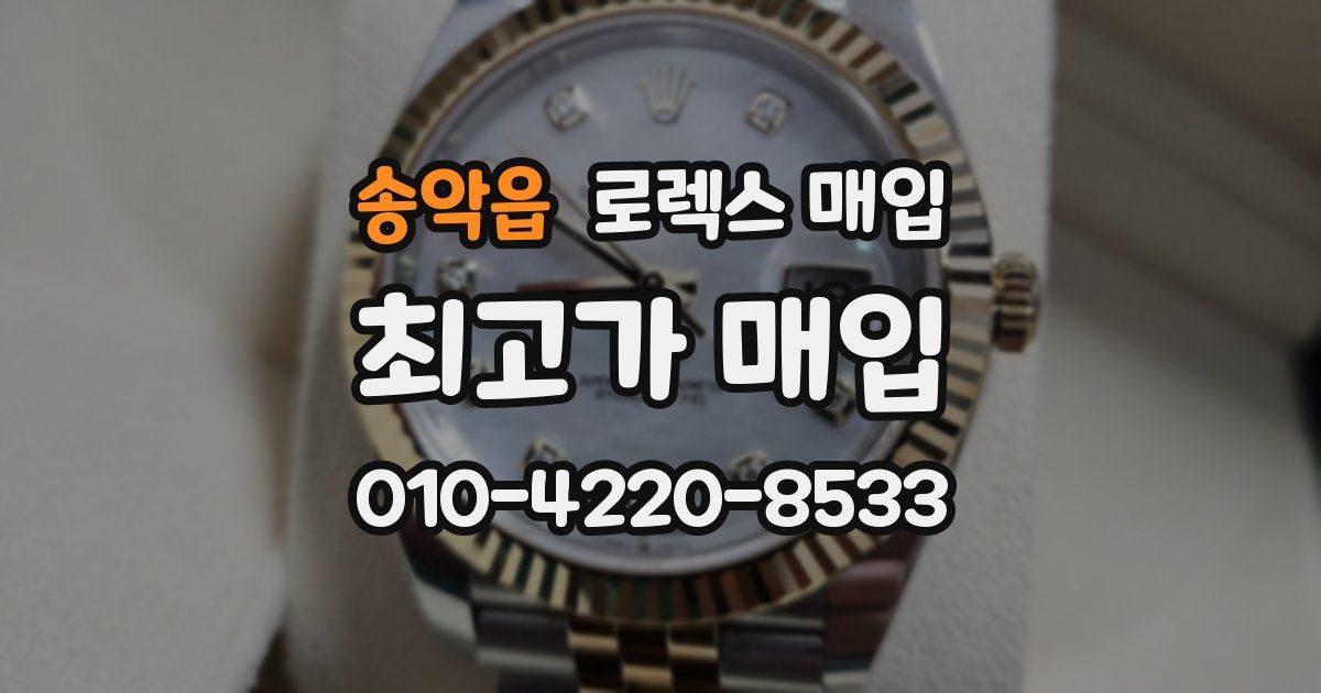 송악읍 로렉스 매입