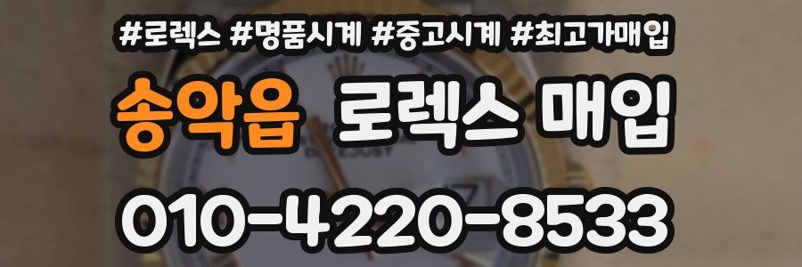 송악읍 로렉스 매입