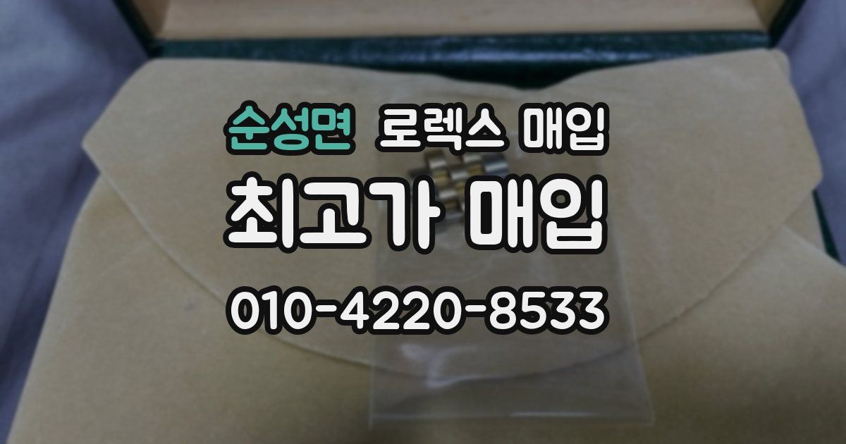 순성면 로렉스 매입